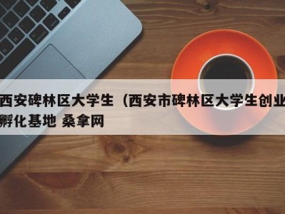 东莞西安碑林区大学生（西安市碑林区大学生创业孵化基地 桑拿网