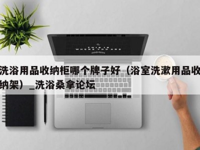 东莞洗浴用品收纳柜哪个牌子好（浴室洗漱用品收纳架）_洗浴桑拿论坛